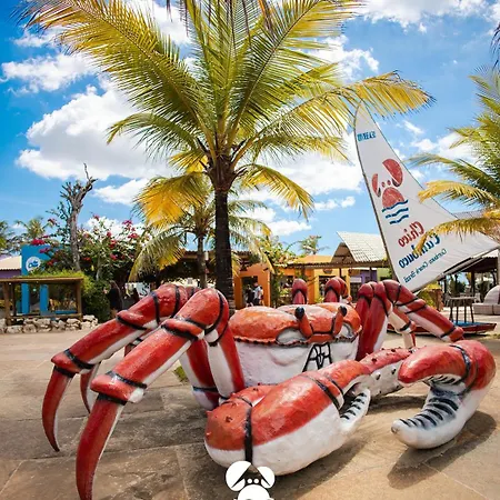Apartamento Vista Mar E Pé Na Areia,apartamento Novo Na Do Futuro Bem Próximo Do Crocobeach